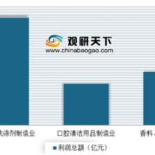 2019年中国塑料包装市场分析报告-市场运营现状与投资商机研究